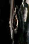 _IMG3761 copy.jpg